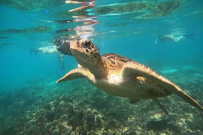 Daymaniyat Islands – Snorkeling Paradise