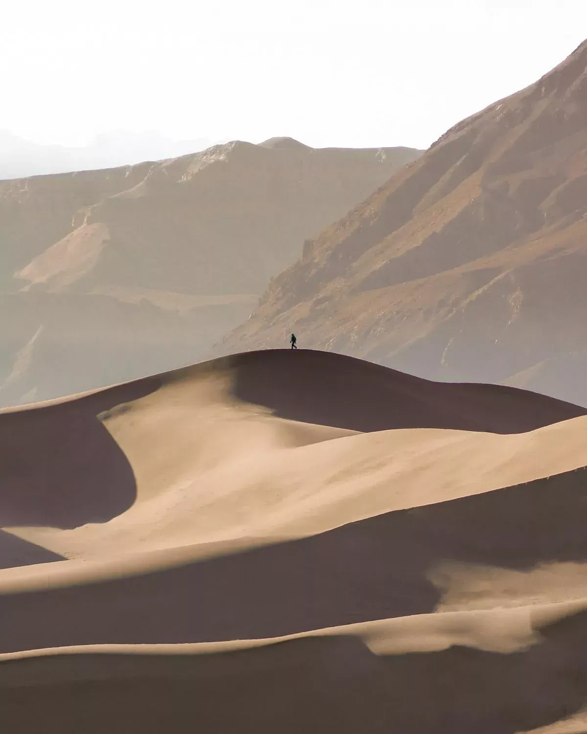 Wahiba Sands – Desert Safari Adventure